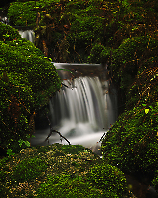 포토 JPG 해외이미지 자연 노르웨이 풍경 사람없음 물 가을 개울 해외202004 해외포토 자연요소 계절 유럽 강 생태계 파일형식 이미지허브
