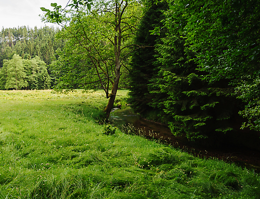 포토 JPG 해외이미지 나무 구름 계절 여행 백그라운드 밭 자연 하늘 산 풍경 사람없음 야외 초록색 여름 햇빛 태양 농장 환경 일몰 시골 숲 땅 언덕 장면 내추럴 해외202004 해외포토 자연요소 식물 컬러 농업 노을 생태계 파일형식 이미지허브