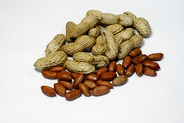 포토 JPG 해외이미지 음식 백그라운드 패턴 사람없음 견과류 껍질 흰색 대접 닫기 맛 작음 먹기 묘사 오브젝트 질감 땅콩 고립 땅바닥 절임 스타일 해외202004 해외포토 컬러 컨셉 무늬 모션 바닥 크기 파일형식 이미지허브