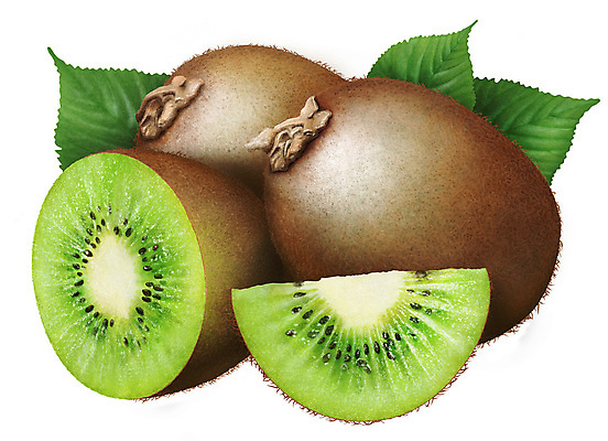 포토 JPG 해외이미지 식물 음식 잎 다이어트 과일 일러스트 부분 자연 건강 키위 씨앗 사람없음 초록색 신선 그룹 횡단보도 달콤 맛 자르기 오브젝트 흰배경 유기농 뉴질랜드 건강식 내추럴 고립 숙성 채식주의자 해외202004 해외포토 웰빙 컬러 백그라운드 컨셉 모션 흰색 보행로 오세아니아 생태계 채식 파일형식 이미지허브