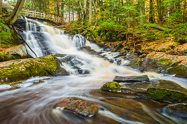 포토 JPG 해외이미지 잎 캐나다 자연 이끼 풍경 사람없음 야외 초록색 물 강 환경 침묵 폭포 젖음 흐름 가을 급류 숲 장노출 암초 현재 해외202004 해외포토 자연요소 식물 계절 컬러 컨셉 북아메리카 촬영기법 소리 생태계 파일형식 이미지허브