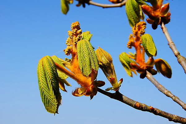 포토 JPG 해외이미지 사람없음 해외202004 해외포토 파일형식 이미지허브
