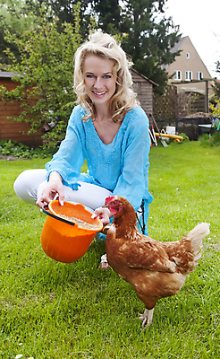 포토 JPG 해외이미지 행복 음식 조류 한명 미소 웃음 잔디 세로 초록색 반려동물 금발 농장 갈색 정원 치킨 수집 먹기 양동이 깃털 층 수유 암탉 성인여자만 해외202004 해외포토 식물 동물 1 헤어스타일 감정 컬러 농업 모션 표정 사람 닭 암컷 닭고기요리 여자만 성인만 파일형식 이미지허브