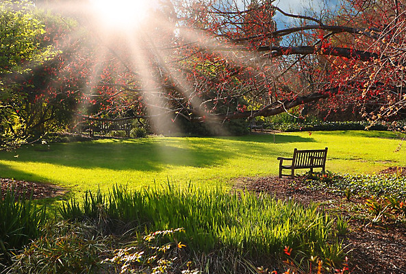포토 JPG 해외이미지 나무 식물 계절 공원 길 지구 백그라운드 단풍 잎 벤치 자연 벽지 풍경 사람없음 야외 목재 빨간색 빛 컬러풀 갈색 노란색 활발 가을 나뭇가지 변화 황금 11월 순환 10월 내추럴 강렬 방법 해외202004 해외포토 공공시설 컬러 컨셉 의자 재료 모션 날짜 생태계 파일형식 이미지허브