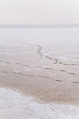 포토 JPG 해외이미지 응시 계절 겨울 자연 사람없음 얼음 추위 흰색 서리 1월 2월 시베리아 눈내림 해외202004 해외포토 자연요소 시선 컬러 눈_날씨 날짜 생태계 파일형식 이미지허브