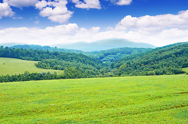 포토 JPG 해외이미지 나무 구름 계절 공원 자연 하늘 아침 산 파노라마 풍경 사람없음 야외 초록색 여름 파란색 환경 계곡 봄 숲 언덕 산등성이 내추럴 웅장함 절정 해외202004 해외포토 주간 자연요소 식물 공공시설 컬러 촬영기법 생태계 파일형식 이미지허브