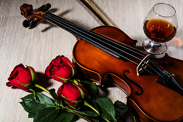 포토 JPG 해외이미지 와인잔 사람없음 장미 와인 우아함 바이올린 나무바닥 바이올린활 해외202004 해외포토 꽃 컨셉 술잔 현악기 바닥 주류 파일형식 이미지허브