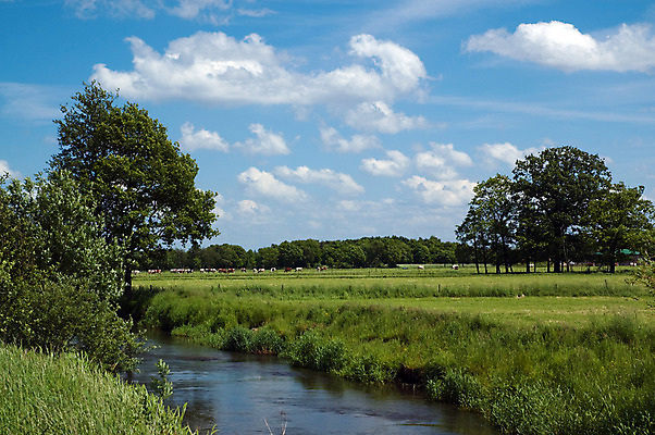 포토 JPG 해외이미지 나무 밭 농업 자연 하늘 풍경 사람없음 야외 빨간색 초록색 물 파란색 울타리 강 농장 검은색 봄 흰색 시골 개울 소 군중 네덜란드 대문 해외202004 해외포토 자연요소 식물 계절 유럽 산업 컬러 포유류 사람 담장 문 생태계 파일형식 이미지허브