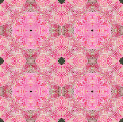 포토 JPG 해외이미지 식물 여자 꽃잎 꽃 백그라운드 꽃무늬 패턴 포장 자연 휴가 발렌타인데이 선물 사랑 사람없음 장미 직물 정사각형 대칭 해외202004 해외포토 도형 감정 무늬 데이이벤트 사람 생태계 파일형식 이미지허브