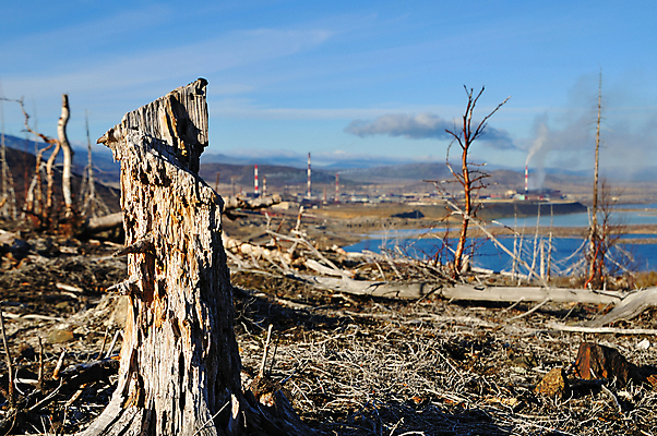 포토 JPG 해외이미지 구름 공장 자연 산 건조 사람없음 야외 목재 환경 숲 언덕 부식 뿌리 가뭄 특별함 해외202004 해외포토 자연요소 나무 컨셉 재료 공업 날씨 생태계 파일형식 이미지허브