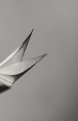 포토 JPG 해외이미지 꽃 종이 선 관리 숙이기 동양인 취미 사람없음 장식 컬러풀 평화 일본 활발 모임 에너지 업무 모서리 집중 순수 날카로움 강렬 완전 해외202004 해외포토 식물 아시아 컬러 포즈 컨셉 인종 작업 파일형식 이미지허브