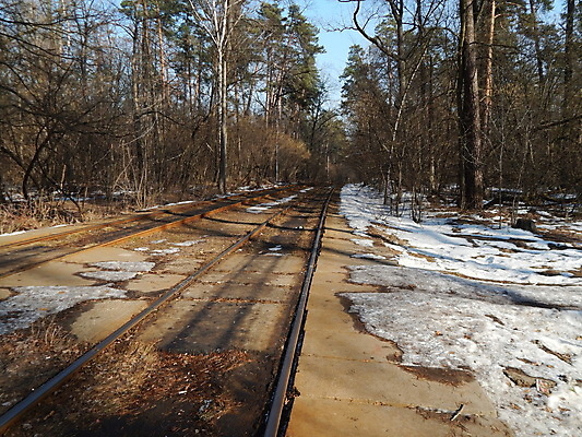 포토 JPG 해외이미지 디자인 도로 선 여행 백그라운드 건축양식 교통시설 사람없음 야외 목재 금속 기차 도시 역 속도 전차 트랙 방법 선로 옛날 철강 해외202004 해외포토 나무 건축 길 육상교통 교통 재료 재질 대중교통 시설 파일형식 이미지허브