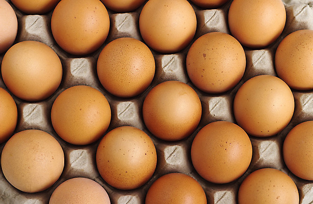 포토 JPG 해외이미지 동물 음식 백그라운드 농업 다이어트 재료 포장 자연 조류 부활절 건강 요리 사람없음 농장 계란 식사 치킨 성장 껍질 신선 그룹 아침식사 먹기 유기농 생물학 날것 칼로리 판지 단백질 생식 처음 취급주의 해외202004 해외포토 웰빙 교육 기념일 산업 모션 경고 알 생태계 닭고기요리 영양소 파일형식 이미지허브