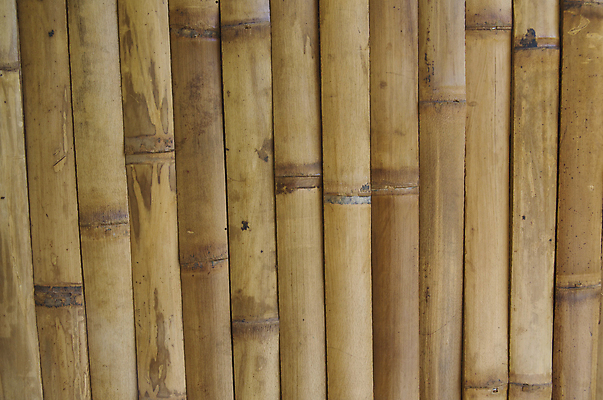 포토 JPG 해외이미지 백그라운드 패턴 추상 동양인 사람없음 세로 갈색 원형 대나무 질감 내추럴 해외202004 해외포토 도형 나무 컬러 무늬 인종 파일형식 이미지허브