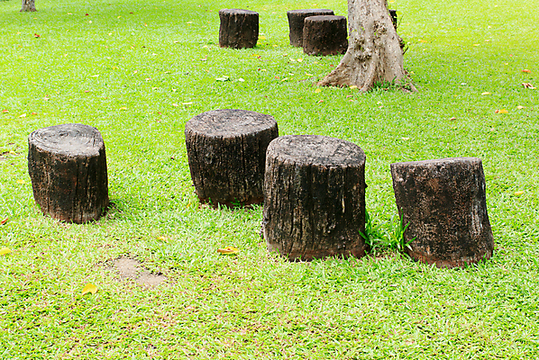 포토 JPG 해외이미지 나무 디자인 벽 가구 백그라운드 컨셉 의자 창문 추상 휴식 바닥 주택 실내 앉기 사람없음 내부 목재 장식 빨간색 파란색 빛 갈색 노란색 우주 검은색 어둠 방 수확 골동품 흰색 클래식 우아함 오브젝트 질감 복고 안락의자 그런지 옛날 스타일 해외202004 해외포토 식물 컬러 생활용품 무늬 농업 재료 모션 건물 파일형식 이미지허브