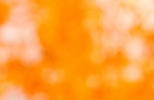 포토 JPG 해외이미지 나무 식물 계절 공원 백그라운드 단풍 잎 캐나다 패턴 오렌지 자연 추상 사람없음 야외 빨간색 빛 컬러풀 햇빛 태양 갈색 노란색 환경 성장 가을 나뭇가지 신선 황금 숲 묘사 질감 내추럴 해외202004 해외포토 자연요소 공공시설 컬러 북아메리카 무늬 과일 생태계 파일형식 이미지허브