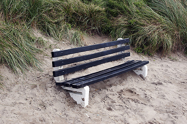 포토 JPG 해외이미지 모래 바다 여행 백그라운드 겨울 벤치 의자 자연 날씨 휴가 앉기 사람없음 야외 목재 초록색 여름 모래사장 갈색 검은색 손상 황금 모래언덕 부식 서식 폭풍 아일랜드 해외202004 해외포토 나무 계절 유럽 컬러 가구 컨셉 재료 모션 언덕 생태계 파일형식 이미지허브