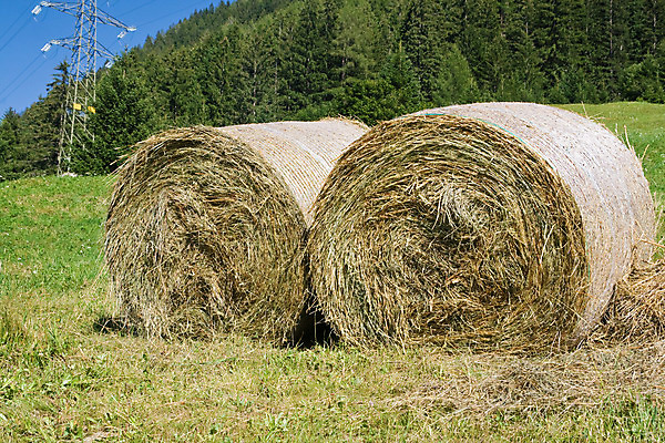포토 JPG 해외이미지 나무 십자가 2 밭 농업 자연 하늘 산 건조 풍경 사람없음 야외 목재 초록색 여름 파란색 햇빛 농장 노란색 쌓기 계곡 수확 흰색 시골 황금 건초더미 볏짚 정상 알프스 롤 뭉치 밀짚 내추럴 해외202004 해외포토 식물 계절 유럽 산업 컬러 재료 모션 태양 건초 짚 생태계 파일형식 더미 이미지허브