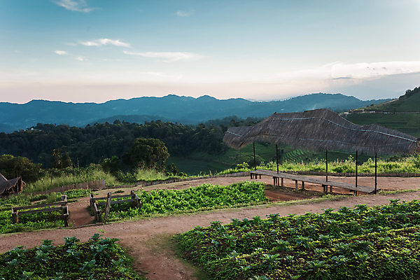 포토 JPG 해외이미지 나무 식물 구름 계절 여행 백그라운드 자연 하늘 아침 휴가 산 풍경 사람없음 야외 초록색 여름 햇빛 환경 정원 침묵 황혼 봄 새벽 안개 가을 시골 저녁 숲 땅 즐거움 장면 천국 내추럴 생태학 해외202004 해외포토 주간 자연요소 교육 감정 컬러 날씨 태양 소리 일몰 야간 생태계 파일형식 이미지허브