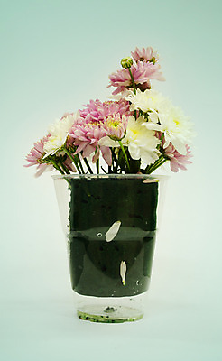 포토 JPG 해외이미지 식물 꽃잎 꽃 분홍색 꽃다발 백그라운드 꽃무늬 자연 유리 발렌타인데이 선물 사랑 사람없음 초록색 물 파란색 장미 노란색 꽃병 봄 튤립 수확 벚꽃 흰색 신선 다발 배열 데이지 파스텔톤 해외202004 해외포토 자연요소 계절 감정 컬러 무늬 농업 데이이벤트 재질 생태계 파일형식 이미지허브