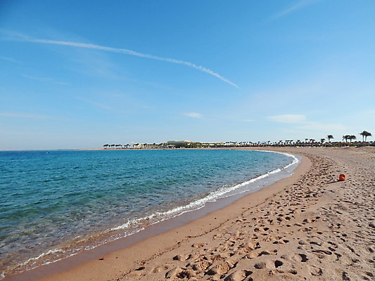포토 JPG 해외이미지 모래 바다 여행 의자 아프리카 자연 하늘 호텔 휴가 이집트 손바닥 사람없음 야외 빨간색 물 파란색 고급 휴양지 해외202004 해외포토 자연요소 손 나라 컬러 가구 컨셉 숙소 장소 생태계 파일형식 이미지허브