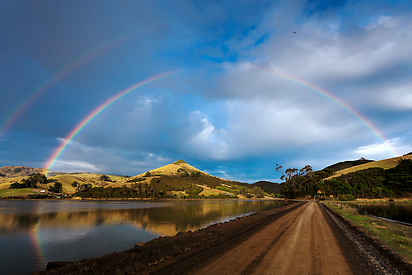 포토 JPG 해외이미지 나무 구름 도로 바다 섬 여행 무지개 자연 하늘 새로움 산 풍경 사람없음 야외 가로 초록색 물 여름 파란색 햇빛 여행객 맑음 시골 보호 방목 땅 언덕 태평양 남쪽 더블 해외202004 해외포토 자연요소 식물 계절 길 컬러 컨셉 교통시설 날씨 사람 태양 축산업 방향 생태계 파일형식 이미지허브