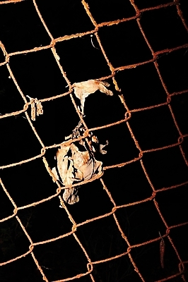 포토 JPG 해외이미지 모양 디자인 산업 백그라운드 패턴 벽지 추상 경비 사람없음 빛 울타리 금속 검은색 어둠 흰색 그물 보호 야간 접속 위험 철 감옥 질감 보안 철사 새장 망사 철강 해외202004 해외포토 자연요소 컬러 컨셉 무늬 재질 안전 담장 직물 케이지 파일형식 이미지허브