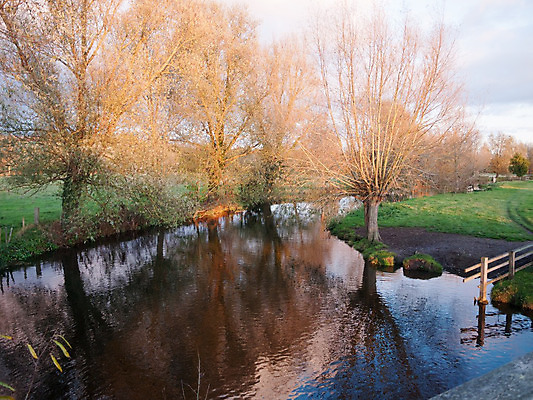 포토 JPG 해외이미지 나무 식물 계절 공원 호수 백그라운드 겨울 자연 하늘 표면 아침 풍경 사람없음 야외 물 빛 강 반사 노란색 환경 맑음 침묵 봄 추위 가을 흰색 나뭇가지 시골 개울 숲 강가 11월 장면 내추럴 넘어짐 벌거벗은 해외202004 해외포토 주간 자연요소 공공시설 컬러 모션 날씨 소리 날짜 생태계 파일형식 이미지허브