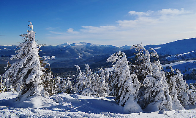 포토 JPG 해외이미지 나무 겨울 자연 하늘 산 풍경 사람없음 소나무 황무지 숲 산봉우리 우크라이나 산맥 해외202004 해외포토 식물 계절 유럽 생태계 봉우리 파일형식 이미지허브