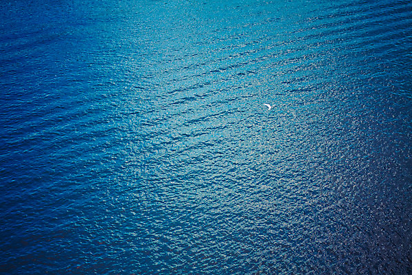 포토 JPG 해외이미지 호수 물결 야생동물 파도 바다 백그라운드 자연 벽지 갈매기 조류 하늘 표면 추상 사람없음 야외 물 파란색 강 우주 화목 침묵 젖음 추위 자유 신선 액체 정상 질감 내추럴 스타일 해외202004 해외포토 자연요소 동물 컬러 컨셉 무늬 소리 생태계 파일형식 이미지허브