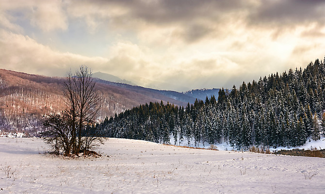 포토 JPG 해외이미지 나무 구름 계절 여행 백그라운드 겨울 자연 하늘 아침 동화 날씨 휴가 산 풍경 사람없음 야외 목재 파란색 일출 환경 냉동 황혼 놀람 추위 흰색 정상 저녁 숲 언덕 서리 장면 전나무 내추럴 웅장함 절정 폭풍우 눈내림 가문비나무 해외202004 해외포토 주간 자연요소 식물 감정 컬러 재료 눈_날씨 표정 노을 일몰 비_날씨 야간 자연재해 생태계 파일형식 이미지허브