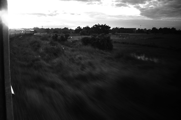 포토 JPG 해외이미지 나무 실루엣 호수 여행 백그라운드 밭 자연 하늘 아침 풍경 잔디 사람없음 야외 초록색 물 여름 파란색 빛 햇빛 태양 농장 노란색 일출 환경 일몰 새벽 기차 안개 광선 시골 저녁 상승 스카이라인 내추럴 선로 파라다이스 수평선 해외202004 해외포토 주간 자연요소 식물 계절 육상교통 컬러 컨셉 농업 날씨 대중교통 촬영기법 노을 야간 생태계 파일형식 이미지허브