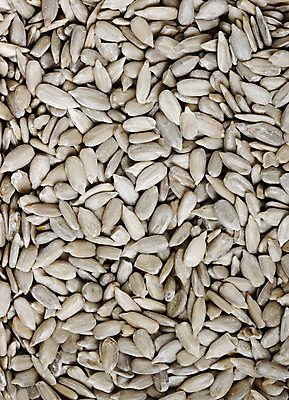 포토 JPG 해외이미지 음식 백그라운드 다이어트 재료 반찬 해바라기 건강 요리 씨앗 사람없음 저녁식사 시장 먹기 허브 향신료 메뉴 유기농 질감 알맹이 레시피 칼로리 섬유 건강식 내추럴 점심식사 단백질 채식주의자 해외202004 해외포토 식물 웰빙 꽃 모션 식사 직물 채식 영양소 향미료 파일형식 이미지허브