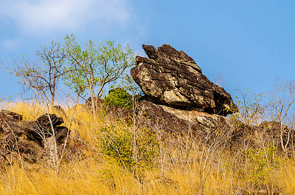 포토 JPG 해외이미지 나무 여행 자연 하늘 건조 사람없음 야외 파란색 컬러풀 햇빛 태양 노란색 일몰 바위 황금 큼 언덕 내추럴 산악지대 스텝 해외202004 해외포토 자연요소 식물 컬러 산 노을 돌_바위 크기 생태계 파일형식 이미지허브