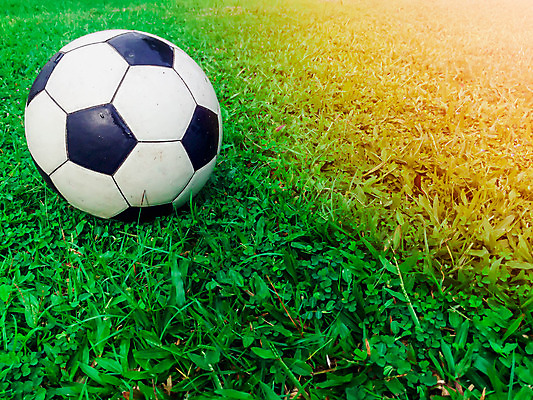 포토 JPG 해외이미지 직업 디자인 스포츠 백그라운드 무늬 밭 공 자연 유리 놀이 하늘 사람 잔디 사람없음 초록색 빛 세계 축구 경쟁 경기장 게임 흰색 원형 야간 도착 묘사 해외202004 해외포토 자연요소 도형 식물 컬러 컨셉 농업 스포츠시설 재질 구기 생태계 파일형식 이미지허브