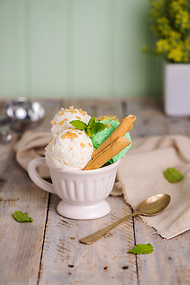 포토 JPG 해외이미지 화분 아이스크림 실내 사람없음 아웃포커스 컵 숟가락 식탁보 달콤 민트 담기 나무탁자 막대과자 해외202004 해외포토 식기 모션 탁자 디저트 촬영기법 수저 내부 과자 맛 허브 파일형식 이미지허브