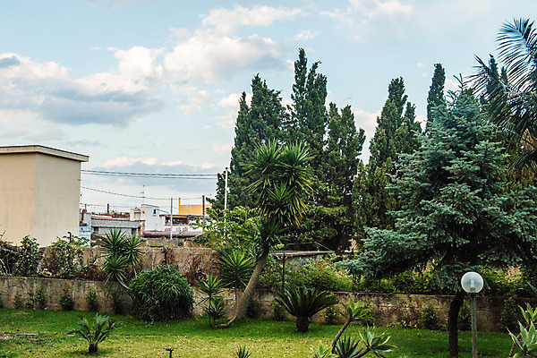 포토 JPG 해외이미지 나무 식물 외관 계절 공원 꽃 벽 백그라운드 잎 밭 건축양식 자연 하늘 주택 잔디 사람없음 야외 건물 목재 장식 초록색 울타리 평화 정원 맑음 봄 이탈리아 흰색 시골 재산 원예 조경 뒤뜰 진짜 해외202004 해외포토 건축물 공공시설 건축 유럽 컬러 컨셉 농업 재료 날씨 취미 금융 담장 생태계 파일형식 이미지허브