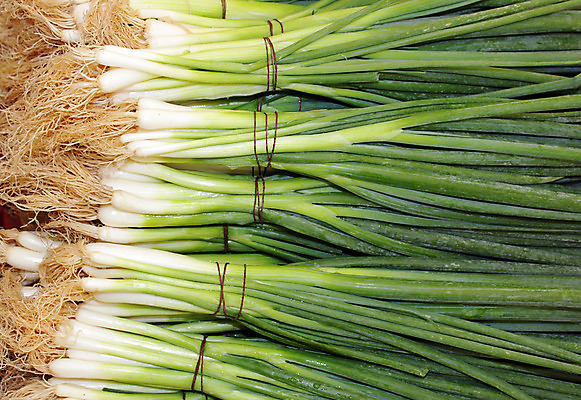 포토 JPG 해외이미지 식물 음식 줄기 백그라운드 잎 농업 다이어트 채소 재료 전구 자연 양파 건강 요리 사람없음 초록색 농장 우주 주방 정원 봄 샐러드 흰색 신선 맛 자르기 다발 먹기 허브 향신료 유기농 원예 날것 뿌리 내추럴 숙성 채식주의자 해외202004 해외포토 웰빙 계절 산업 컬러 컨셉 모션 취미 생태계 채식 향미료 파일형식 이미지허브