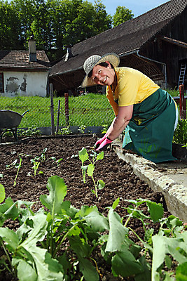 포토 JPG 해외이미지 식물 라이프스타일 응시 여자 행복 할머니 채소 자연 건강 한명 사람 취미 야외 세로 초록색 정원 앞치마 봄 시골 잡기 업무 은퇴 유기농 원예 열정 뒤뜰 모종 심기 옛날 원예사 해외202004 해외포토 직업 1 웰빙 시선 계절 노년 감정 컬러 모션 생활 작업 생태계 파일형식 이미지허브