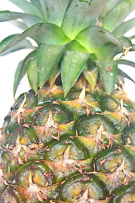 포토 JPG 해외이미지 음식 조각 백그라운드 과일 부분 디저트 건강 3 사람없음 노란색 흰색 신선 소나무 달콤 파인애플 오브젝트 상쾌 날것 하와이 내추럴 고립 숙성 이국적 해외202004 해외포토 나무 감정 컬러 미국 맛 열대과일 파일형식 이미지허브