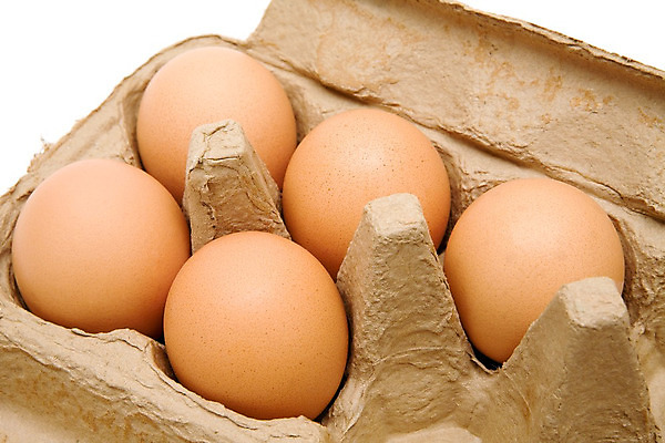 포토 JPG 해외이미지 동물 음식 백그라운드 농업 재료 사람없음 상자 갈색 계란 치킨 흰색 신선 오픈 닫기 아침식사 컨테이너 묘사 날것 팩 패키지 성분 판지 생식 영양분 취급주의 해외202004 해외포토 산업 컬러 모션 경고 알 식사 화장품 닭고기요리 파일형식 이미지허브