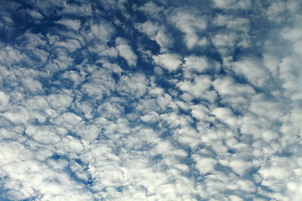 포토 JPG 해외이미지 구름 하늘 아침 바람 날씨 사람없음 파란색 빛 흰색 분위기 솜털 해외202004 해외포토 주간 자연요소 컬러 컨셉 파일형식 이미지허브