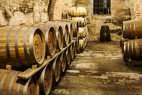 포토 JPG 해외이미지 음료 실내 통 사람없음 목재 와인 이탈리아 수확 선택 맛 상품 먼지 포도나무 수납 지하 양조장 옛날 줄서기 지하실 토스카나 해외202004 해외포토 나무 유럽 컨셉 농업 재료 모션 주류 내부 과일나무 파일형식 이미지허브