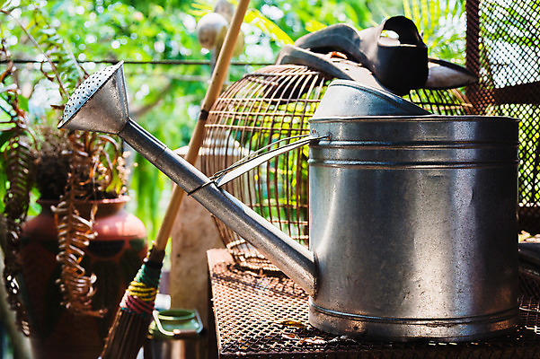 포토 JPG 해외이미지 식물 계절 꽃 백그라운드 가사 꽃무늬 조류 주택 사람없음 목재 초록색 농장 환경 금속 정원 봄 장비 공구 캔 물주기 원예 새장 해외202004 해외포토 나무 동물 컬러 무늬 농업 재료 모션 재질 취미 건물 도구 케이지 파일형식 이미지허브