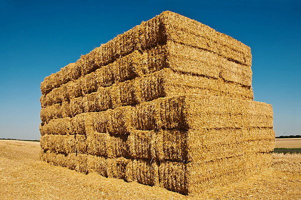 포토 JPG 해외이미지 주간 농업 풍경 사람없음 야외 농경지 짚더미 해외202004 해외포토 자연요소 산업 농장 볏짚 파일형식 더미 이미지허브