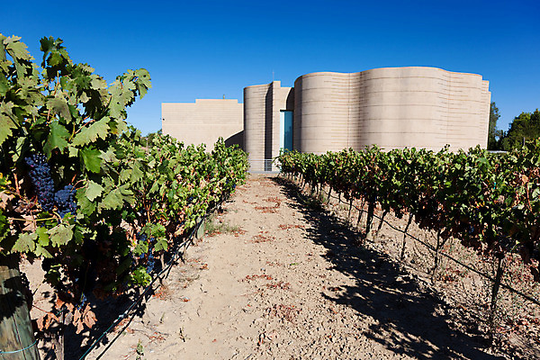 포토 JPG 해외이미지 유럽 여행 건축양식 자연 포도 미술 사람없음 건물 정원 맑음 운명 센터 스페인 포도나무 아라곤 공학 내추럴 해외202004 해외포토 건축물 교육 건축 나라 과일 날씨 문화예술 과일나무 생태계 파일형식 이미지허브