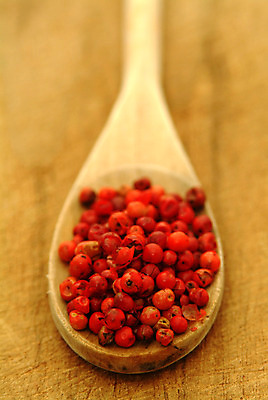 포토 JPG 해외이미지 라이프스타일 디자인 음식 분홍색 백그라운드 다이어트 재료 건조 건강 옥수수 요리 씨앗 사람없음 장식 빨간색 식당 요리사 저녁식사 신선 뜨거움 시장 닫기 맛 자르기 먹기 향신료 유기농 아로마 후추 바이오 섞기 채식주의자 해외202004 해외포토 식물 직업 웰빙 컬러 컨셉 모션 곡류 생활 상점 식사 채식 향미료 파일형식 이미지허브