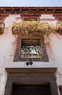 포토 JPG 해외이미지 식물 꽃 창문 주택 건조 사람없음 건물 문 펼침 시간 오픈 균열 버리기 폐허 과거 무인 썩음 옛날 해외202004 해외포토 건축물 컨셉 모션 파일형식 이미지허브