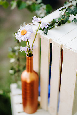 포토 JPG 해외이미지 꽃 결혼 백그라운드 꽃무늬 자연 탁자 휴가 사랑 이벤트 사람없음 야외 목재 장식 초록색 파티 정원 수확 흰색 축하 고급 구성 접수 스타일 해외202004 해외포토 나무 식물 감정 컬러 가구 컨셉 무늬 농업 재료 생태계 파일형식 이미지허브