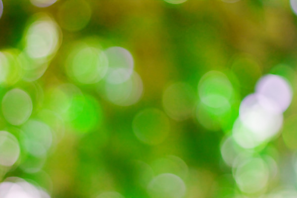 포토 JPG 해외이미지 디자인 행복 별 분홍색 일러스트 사람없음 장식 빨간색 빛 반짝임 노란색 검은색 화려 우아함 소프트포커스 보케 빛망울 해외202004 해외포토 자연요소 감정 컬러 컨셉 모션 촬영기법 파일형식 이미지허브